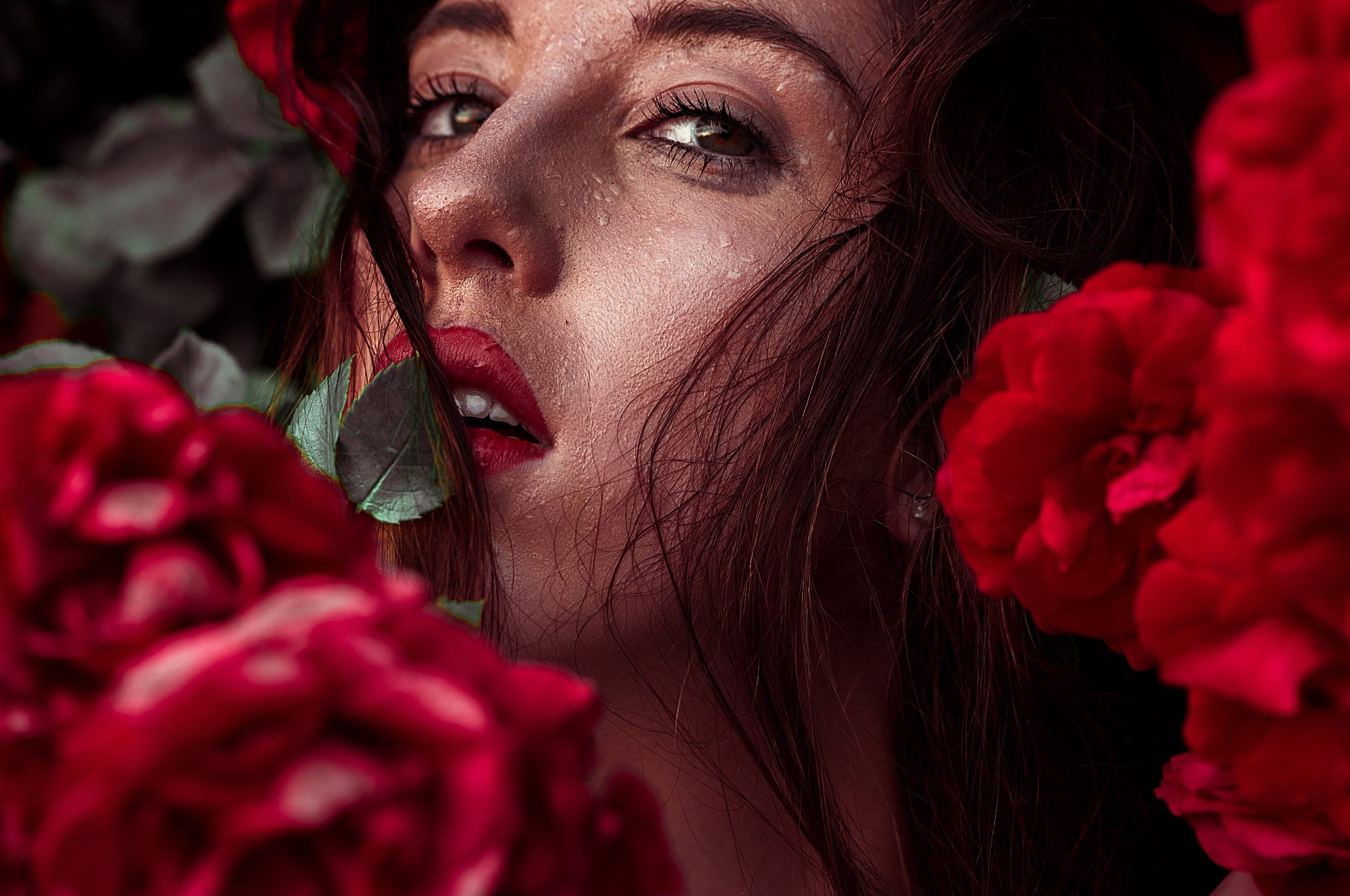 Portraitfotografie von Carsten Herbst in der Region Heilbronn (Bild 3)